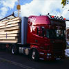 Holzfertighäuser